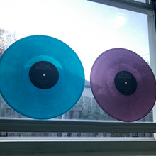 Load image into Gallery viewer, Worlds Away Vinyl